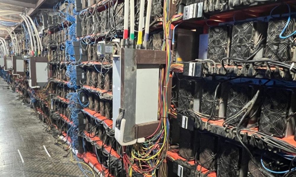 South Africa Joins INTERPOL Cybercrime Arrests 3 Confiscated illegal cryptocurrency mining centre in Angola during cybercrime crackdown