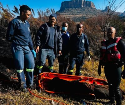 Decomposed Body Found in Namahadi River Near Phuthaditjhaba, Free State, as Murder Investigation Begins 1 Decomposed Body Found in Namahadi River Near Phuthaditjhaba, Free State, as Murder Investigation Begins
